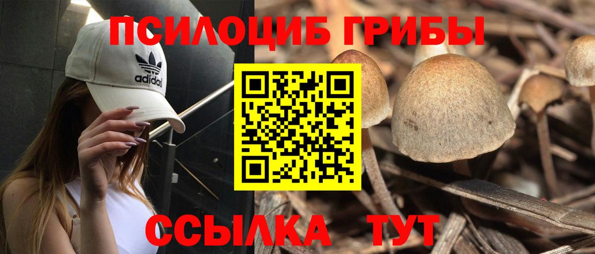 Галлюциногенные грибы мухоморы Нововоронеж