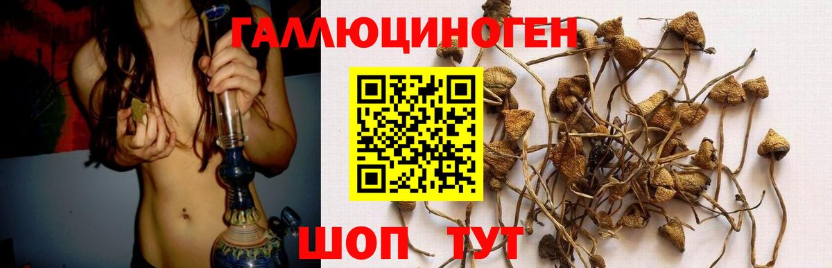 даркнет сайт  Псилоцибиновые грибы Magic Shrooms  Вход с VPN  Нововоронеж 